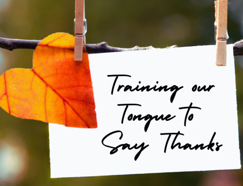 Training Our Tongue to Say Thanks