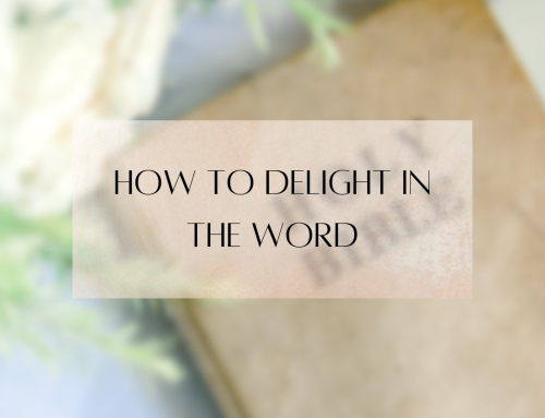 How to Delight in the Word